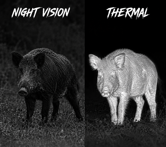 Thermal vs Night Vision: Which One Is Better?